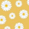 fashiondaisy22
